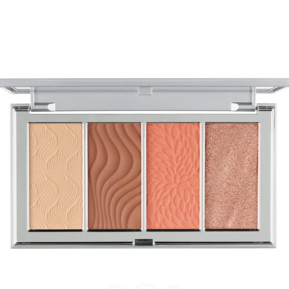 Pur Other - PÜR 4-in-1 Skin-Perfecting Powder Face Palette MED